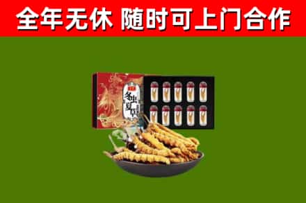 鄞州回收冬虫夏草价格